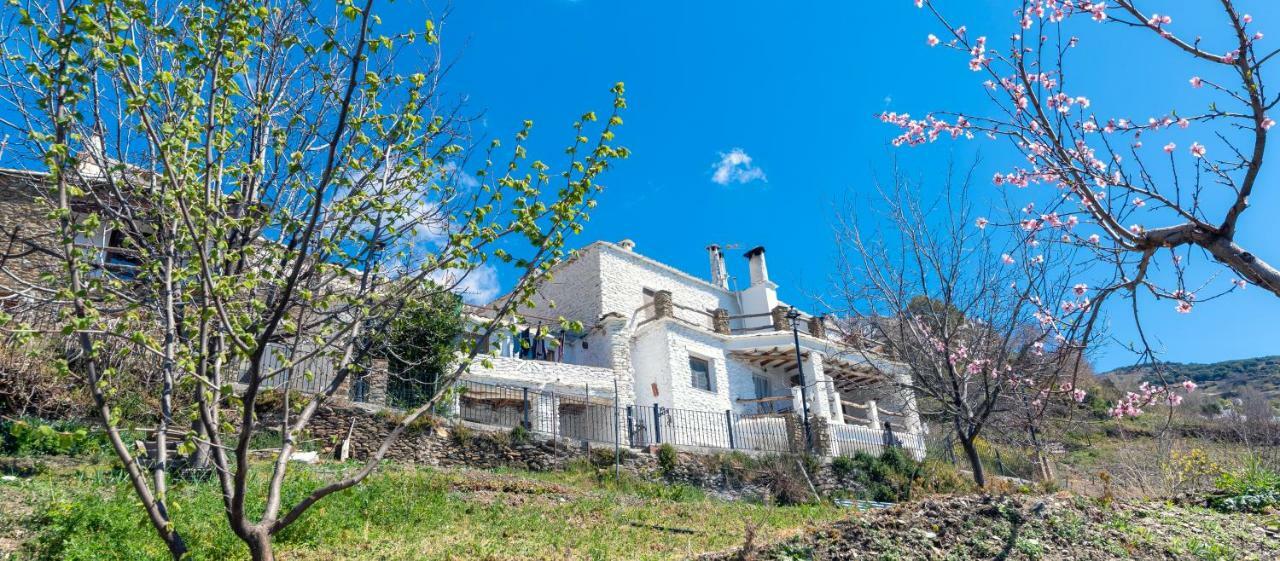 Ferienwohnung El Rincon Capileira Exterior foto